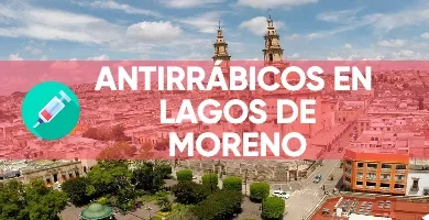 antirrabico en Lagos de Moreno