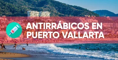 Imagen destacada Antirrabicos en Puerto Vallarta donde muestra horario, direcciones, información sobre campñas y precios