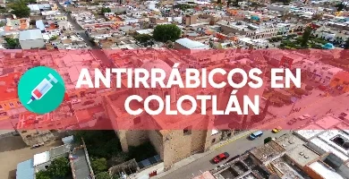 Imagen destacada Antirrabicos en Colotlán donde muestra horario, direcciones, información sobre campañas y precios