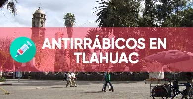 antirrabico Tlahuac