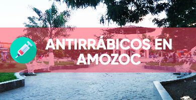 antirrabicos AMOZOC