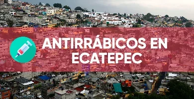 Antirrabicos Ecatepec, numero, dirección, horario, precios