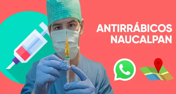 antirrabico Naucalpan