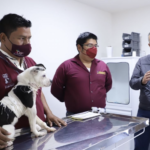 veterinarios CENTRO DE ATENCION CANINA y FELINA DE ECATEPEC