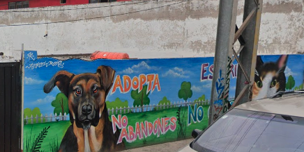 Fotos del centro Antirrábico de Cuautitán